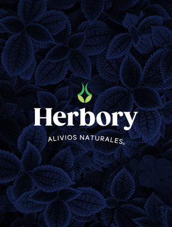 Siendo1 Diseno logotipo Herbory — Siendo1